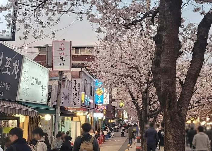 Local Explorer, 조식, 1f, 3r, 낙산공원, 한양도성, 성북천 Moda
